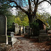 Un lieu fascinant et poétique , le cimetière du Père-Lachaise à Paris .