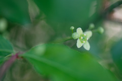 DSCF6187 DSCF6187