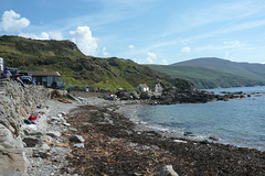 Niarbyl