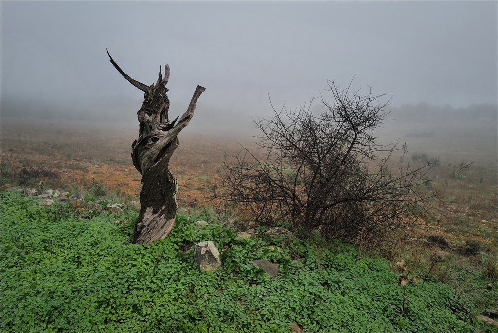 Penedos, Misty morning