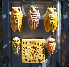 5 cicadas and a sundial in Baux de Provence