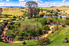 Hobbiton-31