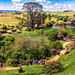 Hobbiton-31