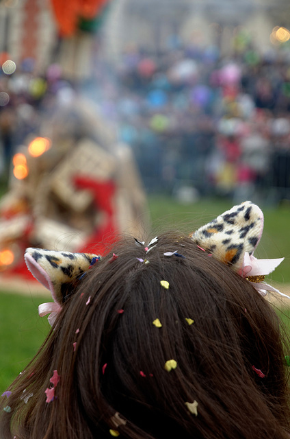 Oreilles et confettis