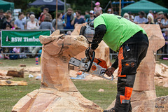 The Carrbridge World Chainsaw Carving Championship 2018