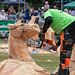 The Carrbridge World Chainsaw Carving Championship 2018