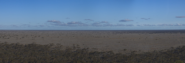 Eucla Plain