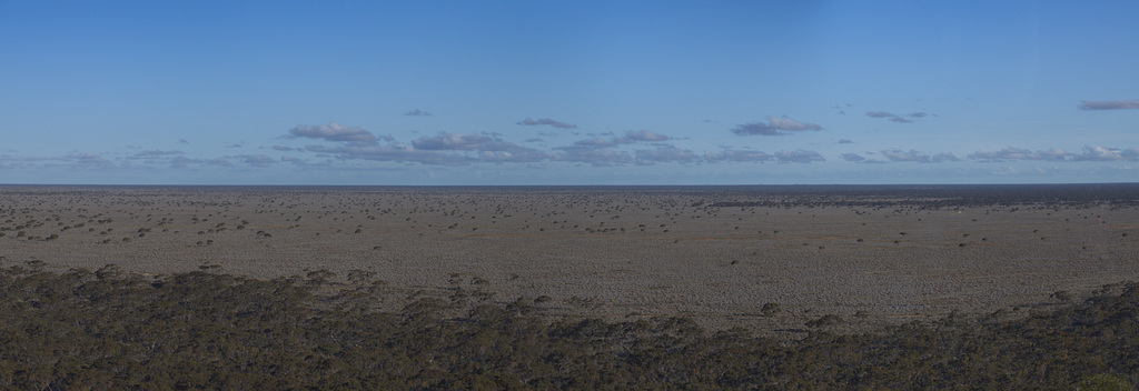 Eucla Plain