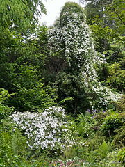 Abriachan, Loch Ness