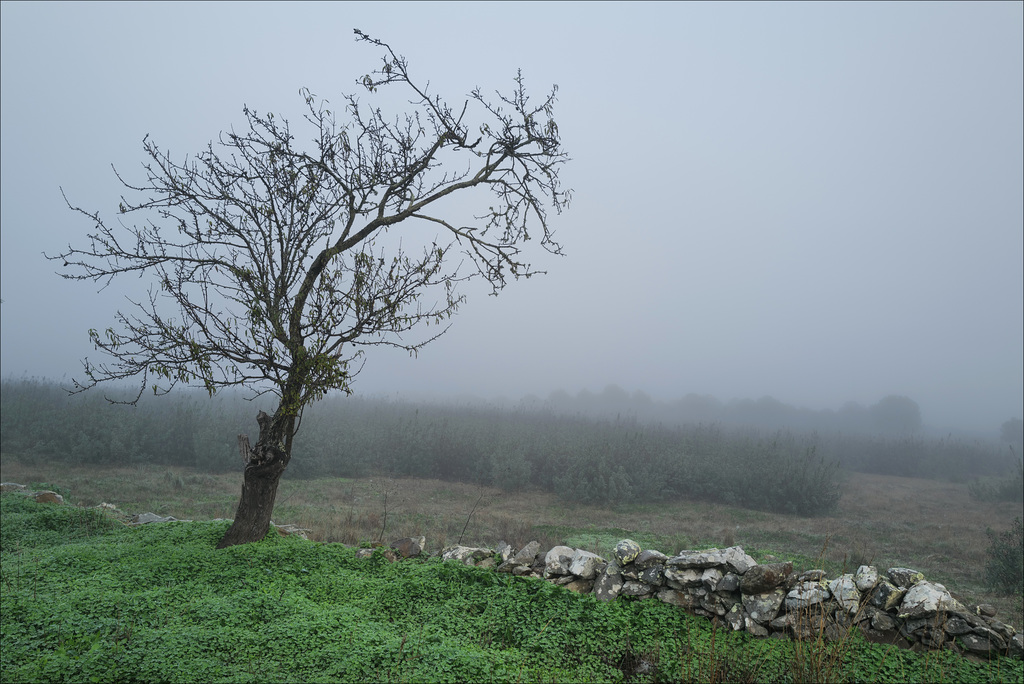 Penedos, Misty morning