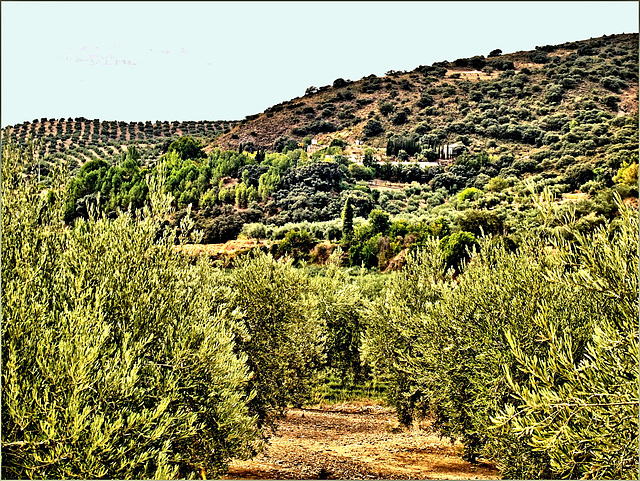 Cerca de Moclín