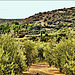 Cerca de Moclín