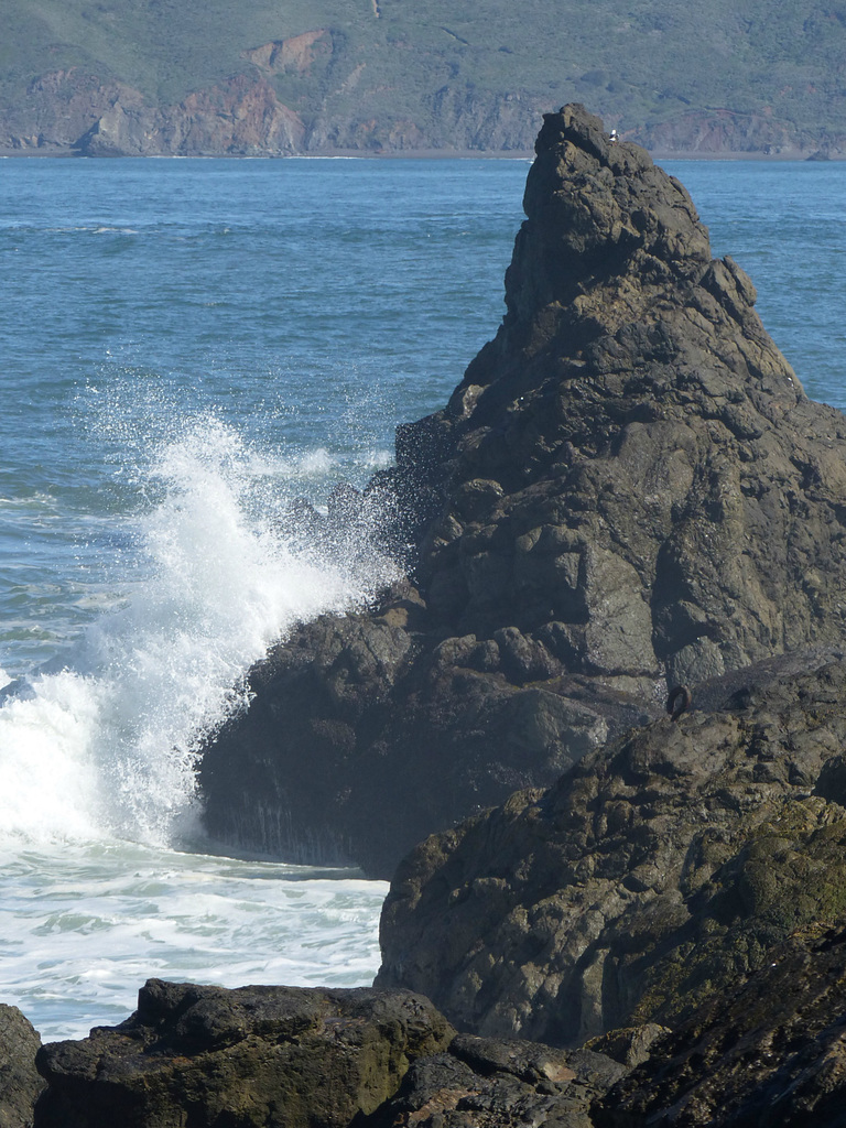 California Coast (1) - 16 April 2016