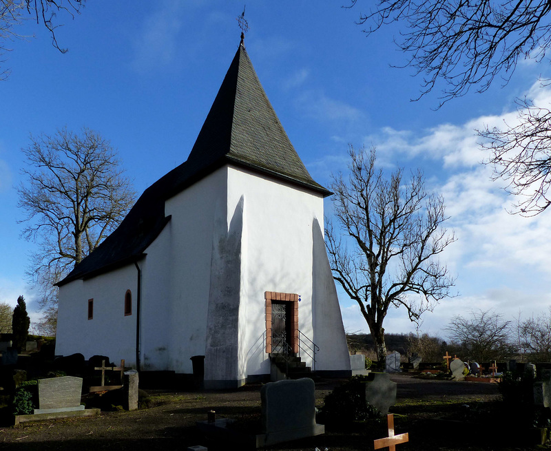 Schalkenmehren - Weinfeld