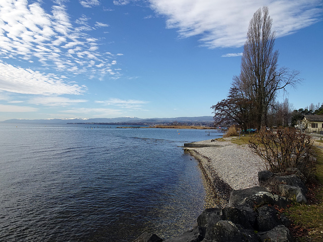 Der Genfersee / Lac Léman bei Préferenges