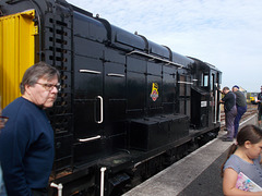 avr[25] - Shirley {1 of 2}