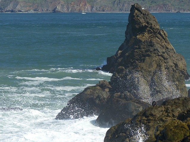 California Coast (2) - 16 April 2016