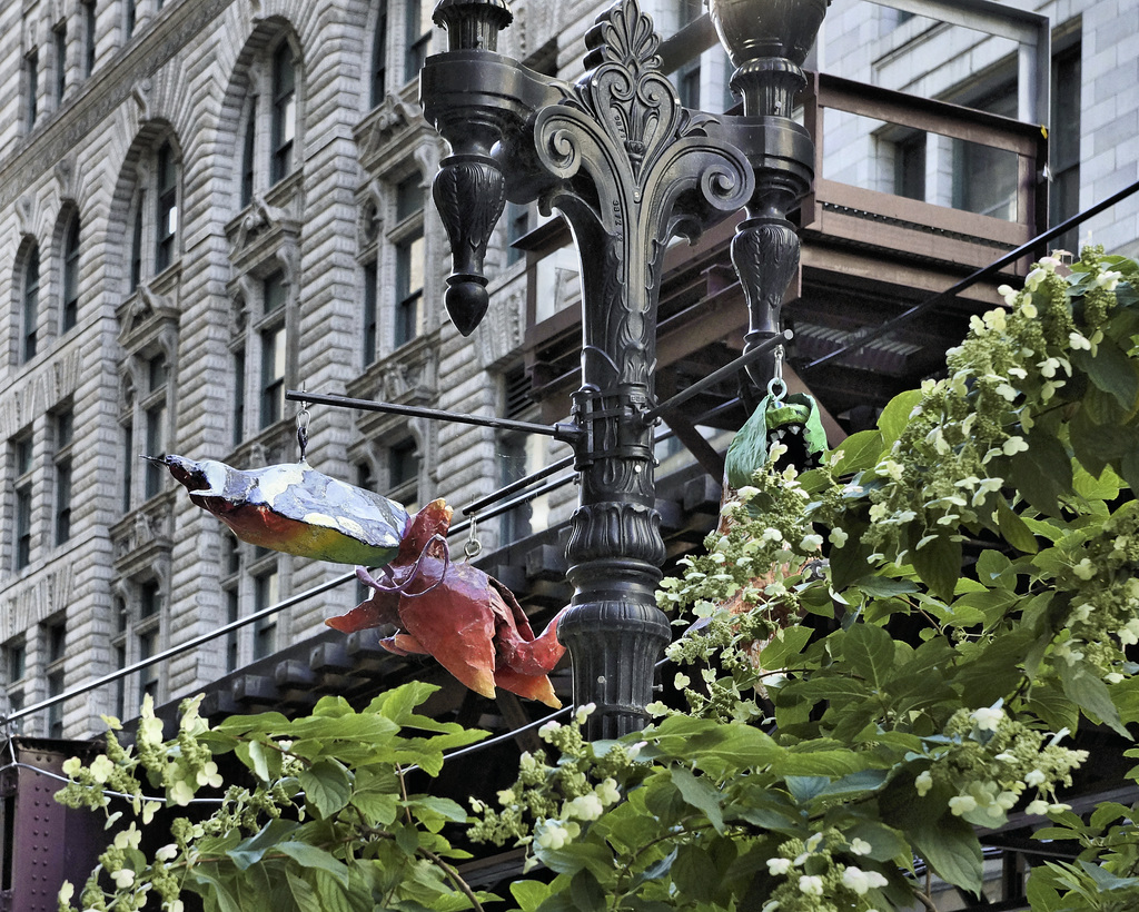 Loopy Art – North Wabash Avenue, Chicago, Illinois, United States