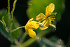 DSCF6180