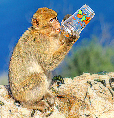 Un jus de fruit,pourquoi pas lui.?