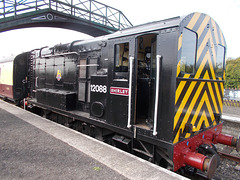 avr[25] - Shirley {2 of 2}