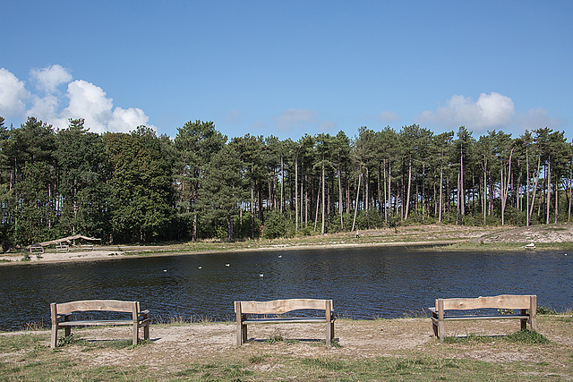 20140911 5191VRAw [NL] Terschelling