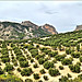 Moclín