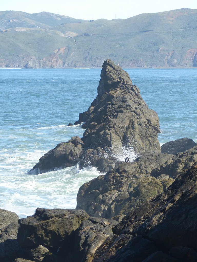 California Coast (3) - 16 April 2016