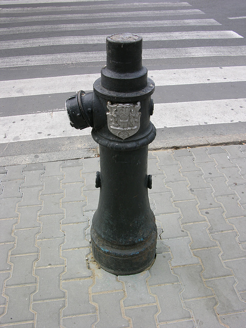 Ein einarmiger Hydrant in Posen