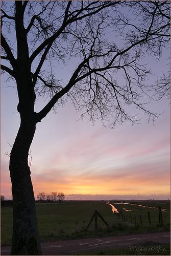 Welcome New Day...