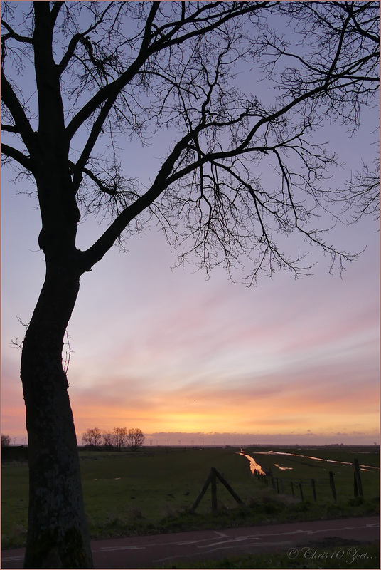 Welcome New Day...