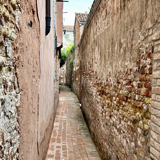 Venice 2022 – Alley