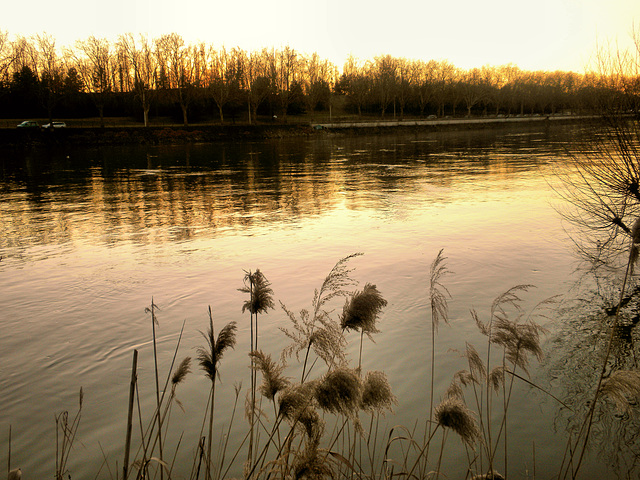 Winterspaziergang an der Seine