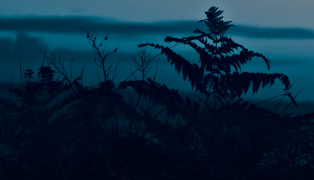 bleu comme l'aube qui arrive chaque soir bleu comme l'aube qui arrive chaque soir