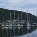 Tromsø sailboats 1