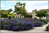 Un jardin mediterráneo