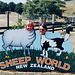 109/365 Sheep World New Zealand