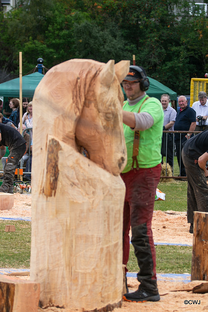 The Carrbridge World Chainsaw Carving Championship 2018