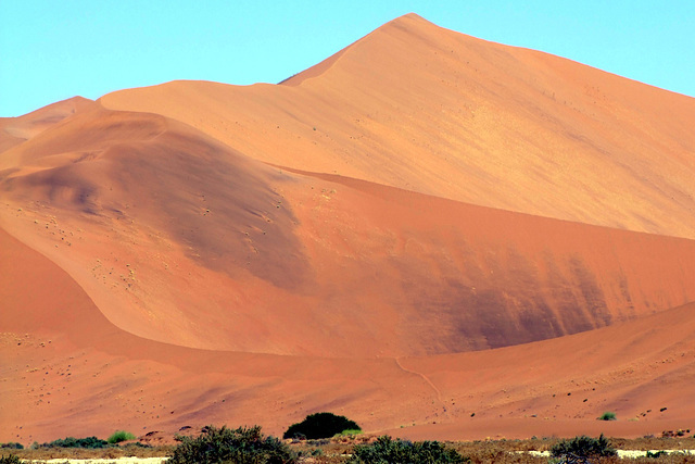 Big Daddy  dune