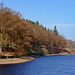 West side of Derwent Reservoir