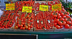 Düsseldorf - Wochenmarkt Carlsplatz, Tomatenrot