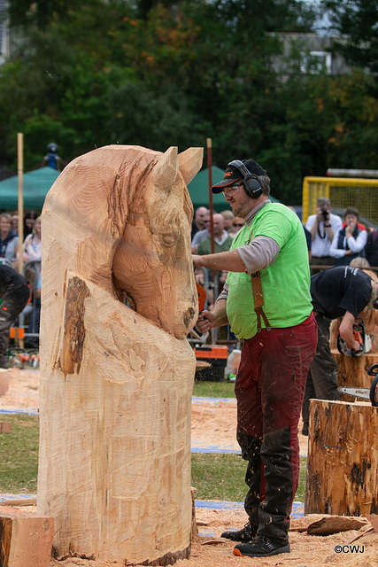 The Carrbridge World Chainsaw Carving Championship 2018