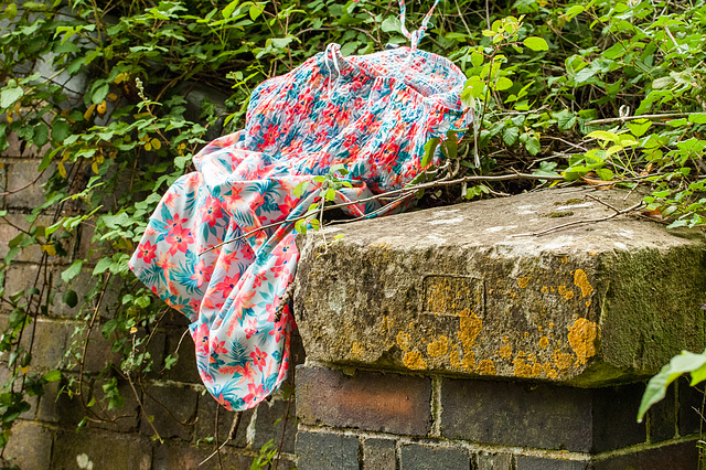 A Primark Dress Caught on Brambles