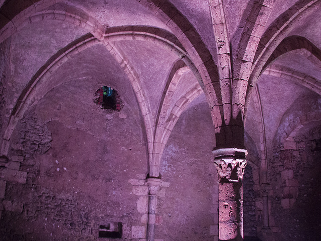 les dessous de Meung sur Loire en lumière