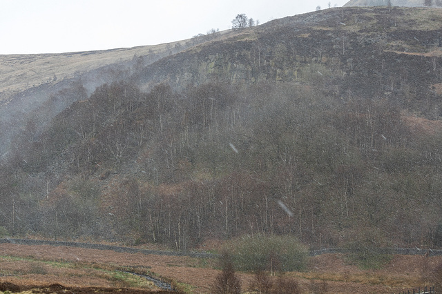 Snow Showers at Crowden