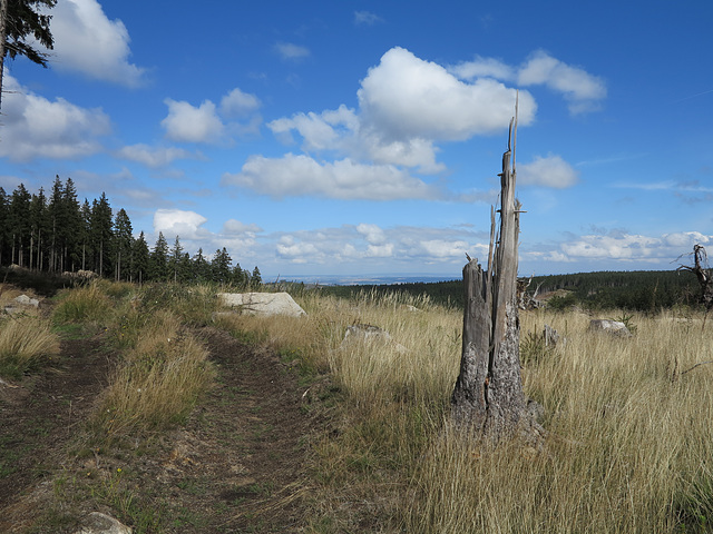 Auf dem Weg zum Brocken --> PiP