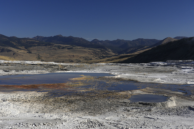 Near Canary Spring