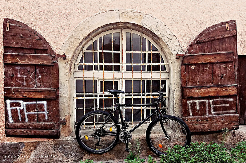 the barred window