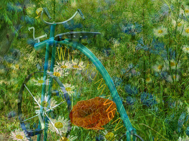 #45 - fotopassion - Wheel with poppy and other flowers - 34° 1point