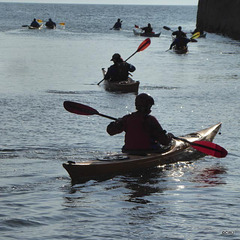 Sea Kayakers exiting Hopeman harbour